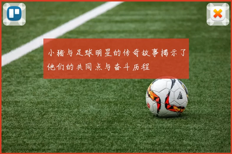 小猪与足球明星的传奇故事揭示了他们的共同点与奋斗历程