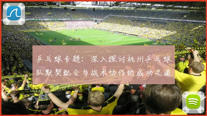 乒乓球专题：深入探讨杭州乒乓球队默契配合与战术协作的成功之道
