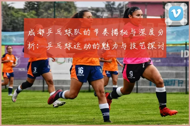 成都乒乓球队的节奏揭秘与深度分析：乒乓球运动的魅力与技艺探讨
