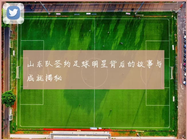 山东队签约足球明星背后的故事与成就揭秘