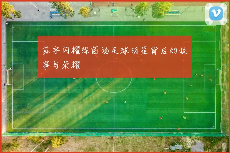 苏字闪耀绿茵场足球明星背后的故事与荣耀