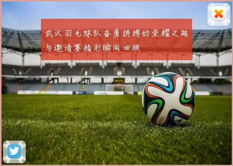 武汉羽毛球队奋勇拼搏的荣耀之路与邀请赛精彩瞬间回顾