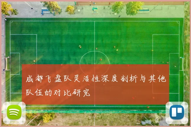 成都飞盘队灵活性深度剖析与其他队伍的对比研究